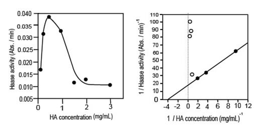 Гиалуроновая кислота