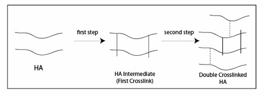 Гиалуроновая кислота