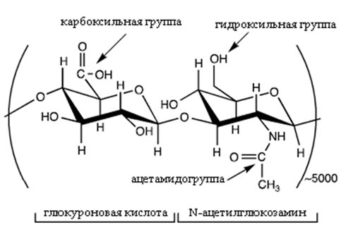 Свойства гиалуроновой кислоты